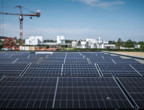 Paneles solares comerciales